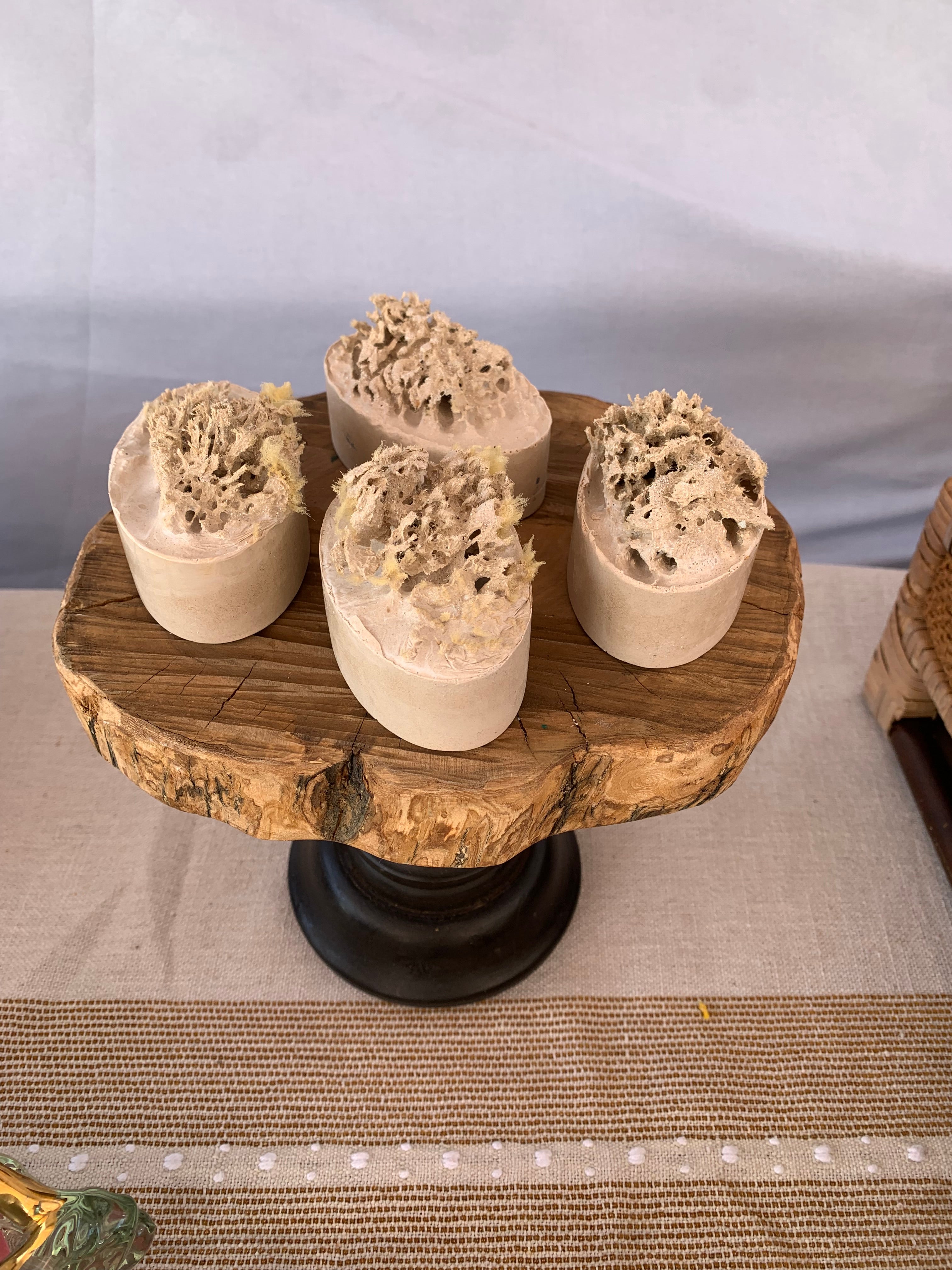 🌿 Face Soap with Built-In Sea Sponge