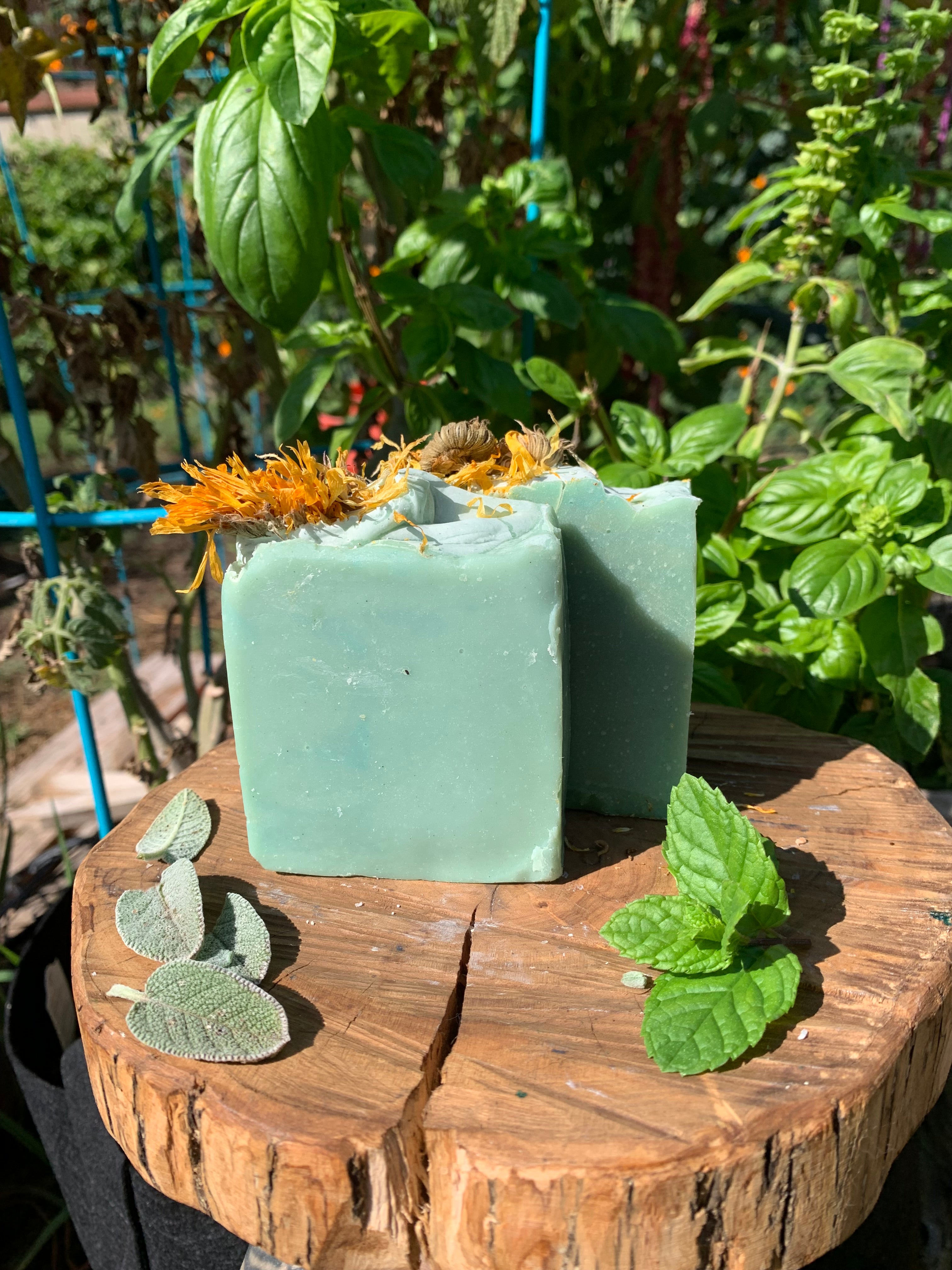 Herbal Bloom