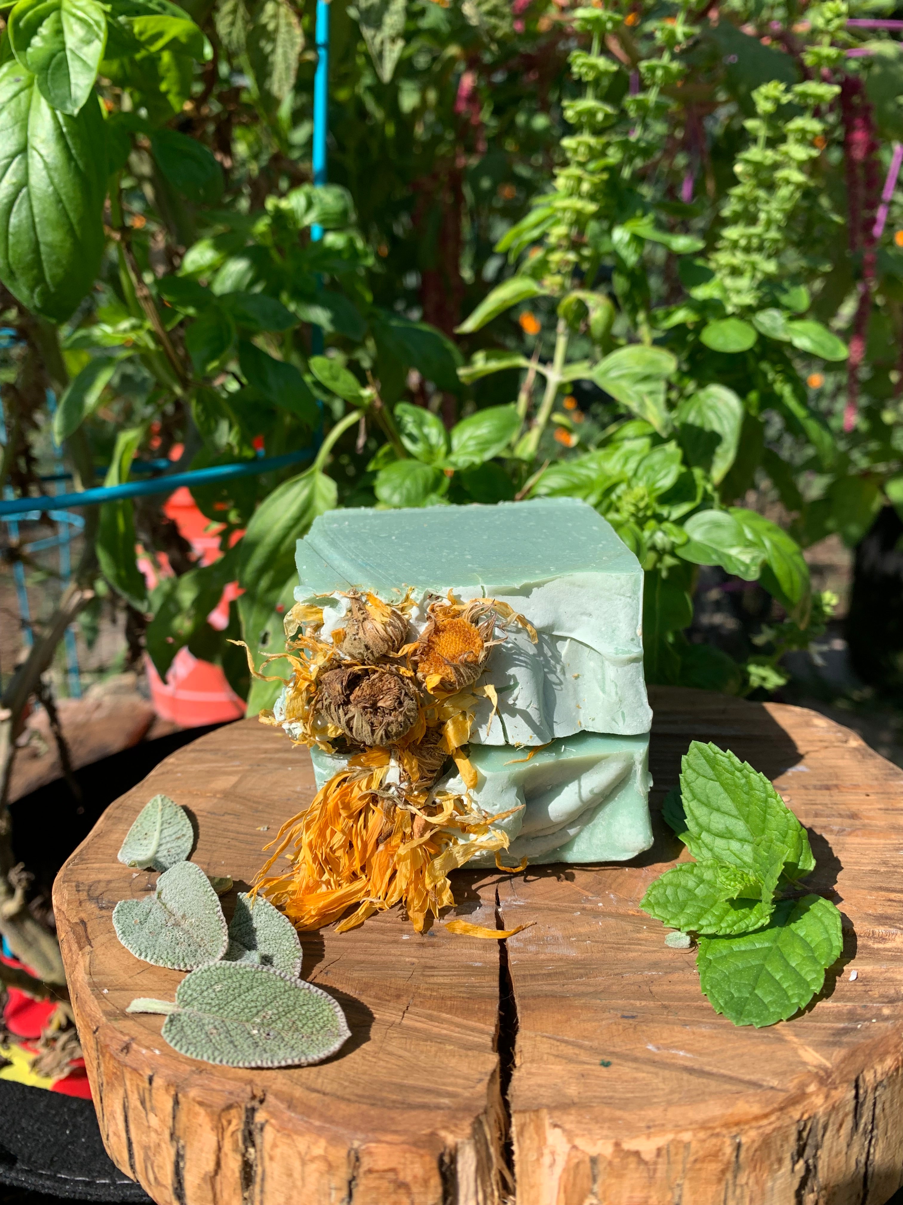 Herbal Bloom