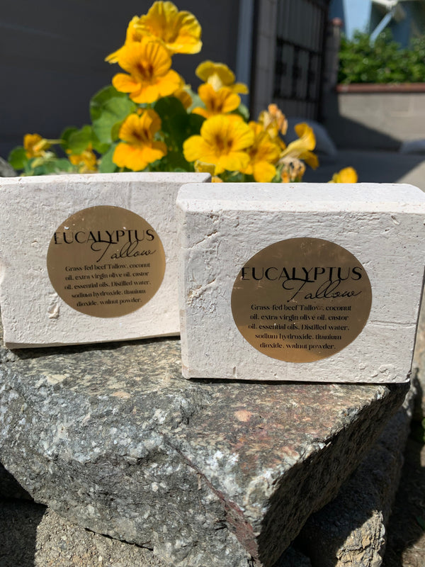 Eucalyptus Tallow Soap Bar